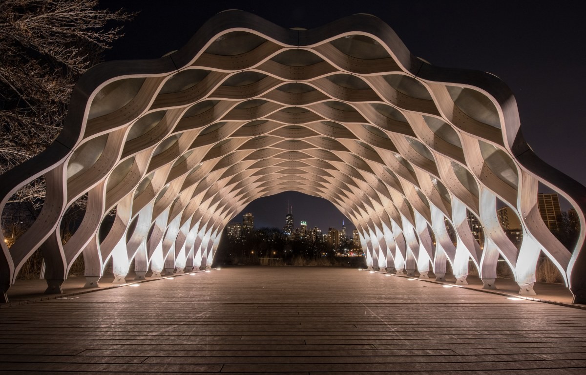 Lincoln Park's Honeycomb pavilion illuminated at night, framing the Chicago skyline